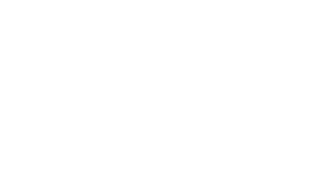 Bird Business Logo Update (2)