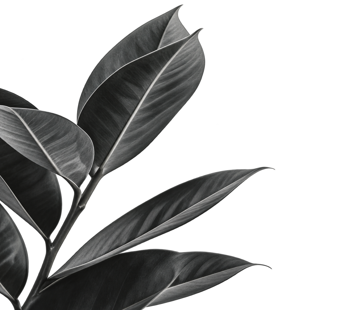 Decorative floral detail